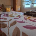 Mirabuenos *